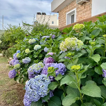 Eqerem Dauti بيت ضيافة *