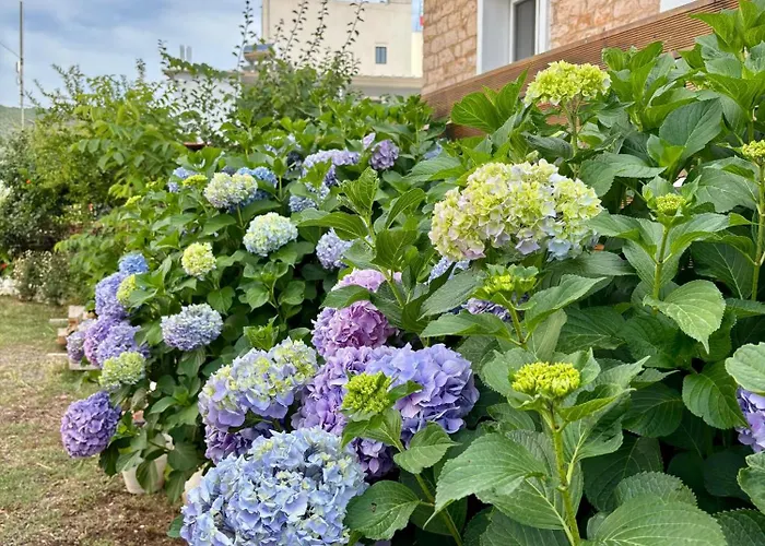 Eqerem Dauti Maison d'hôtes *